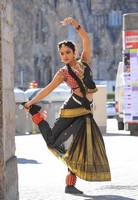 Amala Paul New Pics